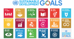 SDGs